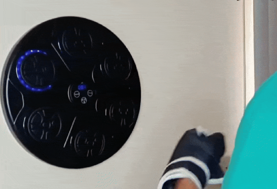 Best 5 Boxing Wall Machines of 2025